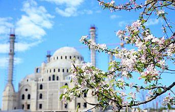 Trabzon ve Ordu'da kısıtlamanın son gününde de cadde ve sokaklar boş kaldı