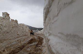 Trabzon'da 18 yayla yolunda karla mücadele çalışması yapılıyor