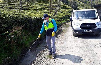 Trabzon'da vektörel mücadele çalışmalarına ağırlık verildi