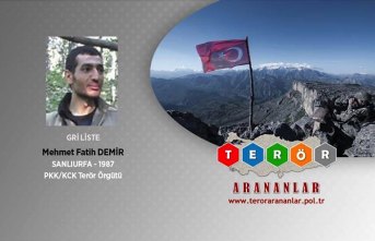 Tunceli'de etkisiz hale getirilen terörist gri listede