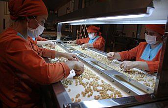 Türkiye'nin fındık ihracatında rekor hedefleniyor