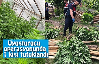 Uyuşturucu operasyonunda 1 kişi tutuklandı
