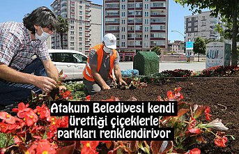 Atakum Belediyesi kendi ürettiği çiçeklerle parkları renklendiriyor