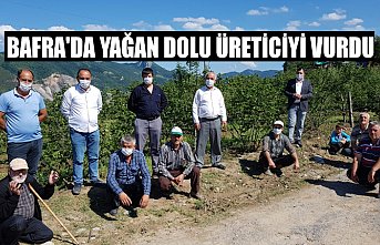 BAFRA'DA YAĞAN DOLU ÜRETİCİYİ VURDU