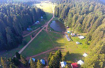 Batı Karadeniz yaylaları normalleşme süreciyle şenlendi