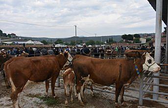 Boyabat'ta canlı hayvan pazarı 3 ay aradan sonra açıldı
