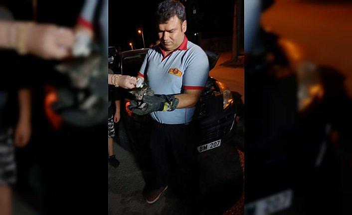 Karabük'te otomobilin motor kısmına sıkışan kedi yavrusu kurtarıldı