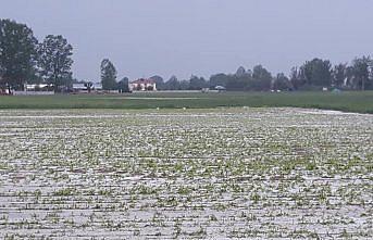 Kastamonu'da dolu tarım arazilerine zarar verdi