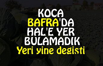 KOCA BAFRA'DA HAL'E YER BULAMADIK