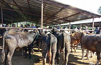 Mudurnu hayvan pazarı yeniden hizmete açıldı