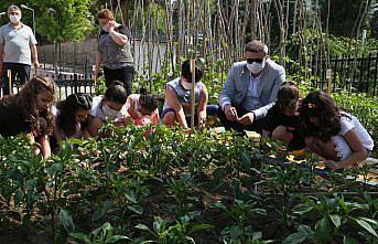 Öğretmen ve öğrencileri okul bahçesinde sebze üretiyor