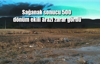 Sağanak sonucu 500 dönüm ekili arazi zarar gördü