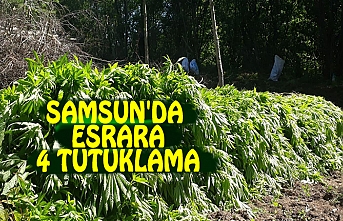 SAMSUN'DA ESRARA 4 TUTUKLAMA