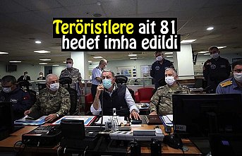 Teröristlere ait 81 hedef imha edildi