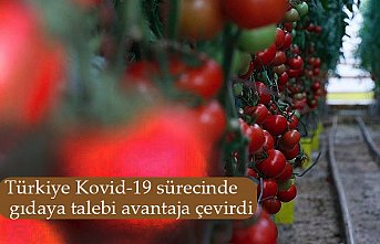 Türkiye Kovid-19 sürecinde gıdaya talebi avantaja çevirdi