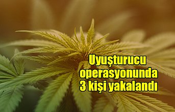 Uyuşturucu operasyonunda 3 kişi yakalandı