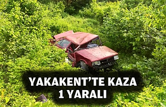 YAKAKENT'TE KAZA; 1 YARALI