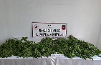 Zonguldak'ta uyuşturucu operasyonunda 1 kişi gözaltına alındı