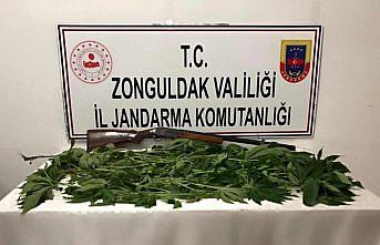 Zonguldak'ta uyuşturucu operasyonunda 2 kişi gözaltına alındı