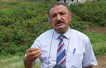 Artvin'de 50 dönüm alanda aronya üretilmesi hedefleniyor