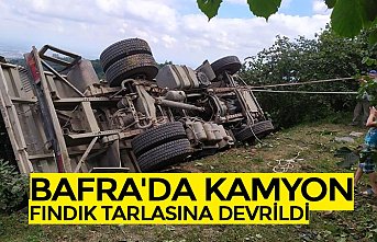 BAFRA'DA KAMYON FINDIK TARLASINA DEVRİLDİ
