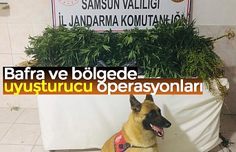 Bafra ve bölgede uyuşturucu operasyonları