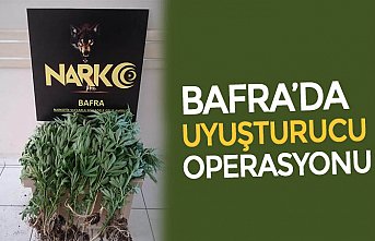 BAFRA’DA UYUŞTURUCU OPERASYONU