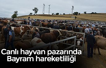 Canlı hayvan pazarında Bayram hareketliliği 