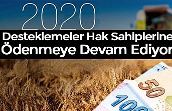 Desteklemeler Hak Sahiplerine Ödenmeye Devam Ediyor