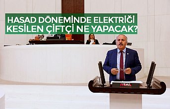 HASAD DÖNEMİNDE ELEKTRİĞİ KESİLEN ÇİFTÇİ NE YAPACAK?