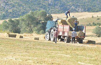 Karabük'te hububat üreticisinin yüzü gülüyor