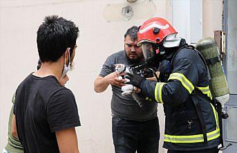 Kedi yavrularını yangından itfaiye ekipleri kurtardı