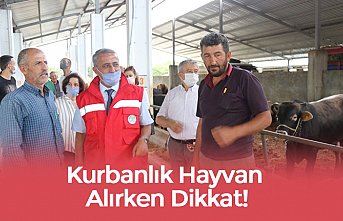 Kurbanlık Hayvan Alırken Dikkat!