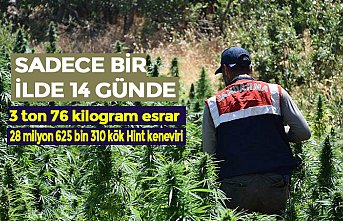 SADECE BİR İLDE 14 GÜNDE 3 ton 76 kilogram esrar