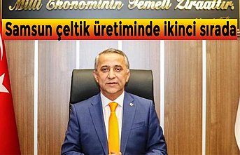 Samsun çeltik üretiminde ikinci sırada