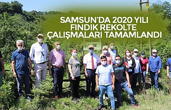 SAMSUN’DA 2020 YILI FINDIK REKOLTE ÇALIŞMALARI TAMAMLANDI