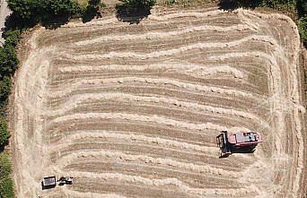 Samsun'da ata yadigarı 