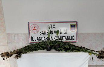 Samsun'da uyuşturucu operasyonlarında 10 şüpheli yakalandı