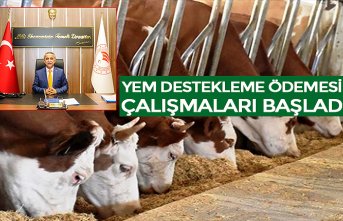 YEM DESTEKLEME ÖDEMESİ ÇALIŞMALARI BAŞLADI
