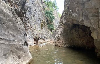 'Yıldırım-4 Munzur-Kutu Operasyonu' başladı