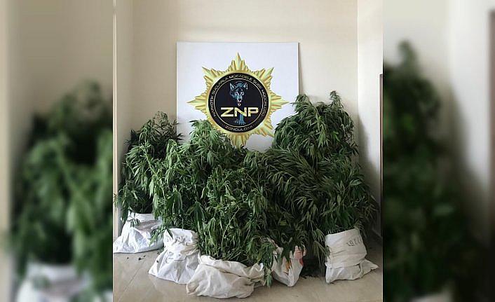 Zonguldak'ta uyuşturucu operasyonunda yakalanan şüpheli tutuklandı
