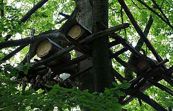 Artvin'in zengin doğasında üretilen ballar rağbet görüyor