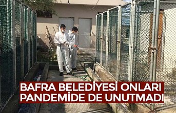 BAFRA BELEDİYESİ ONLARI PANDEMİDE DE UNUTMADI
