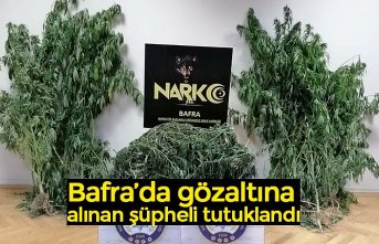 Bafra’da gözaltına alınan şüpheli tutuklandı