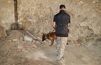 Bolu'da narkotik köpekleri 