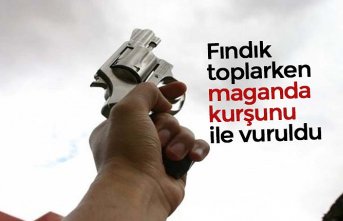 Fındık toplarken göğsüne kurşun isabet eden çocuk öldü