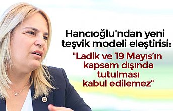 Hancıoğlu'ndan yeni teşvik modeli eleştirisi: