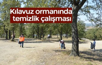 Kılavuz ormanında temizlik çalışması