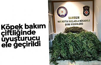 Köpek bakım çiftliğinde uyuşturucu ele geçirildi