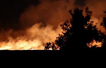 Samsun’da sazlık alanda yangın çıktı